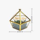 679. Geometric Pentagon Ring Box