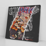 TUPAC 2 CANVAS